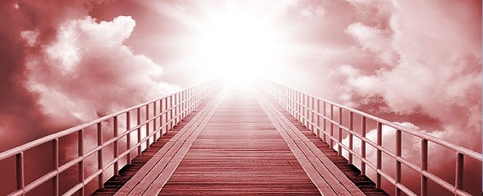 نظم واقعی دنیا