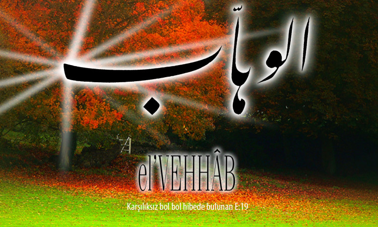 16-vehhab