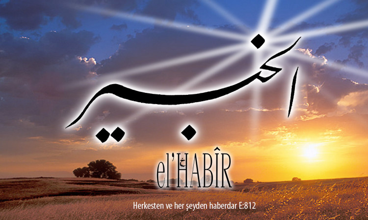 31-habir