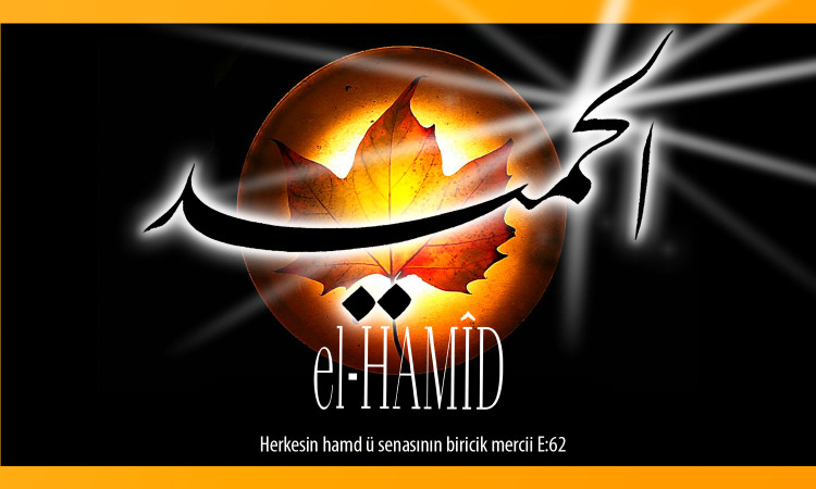 56-hamid