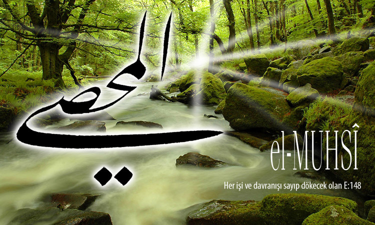 57-muhsi