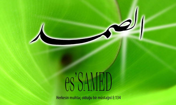 68-samed