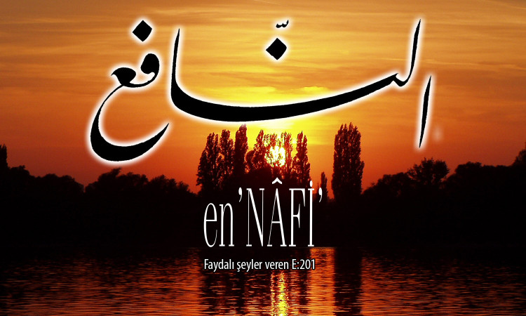 92-nafi