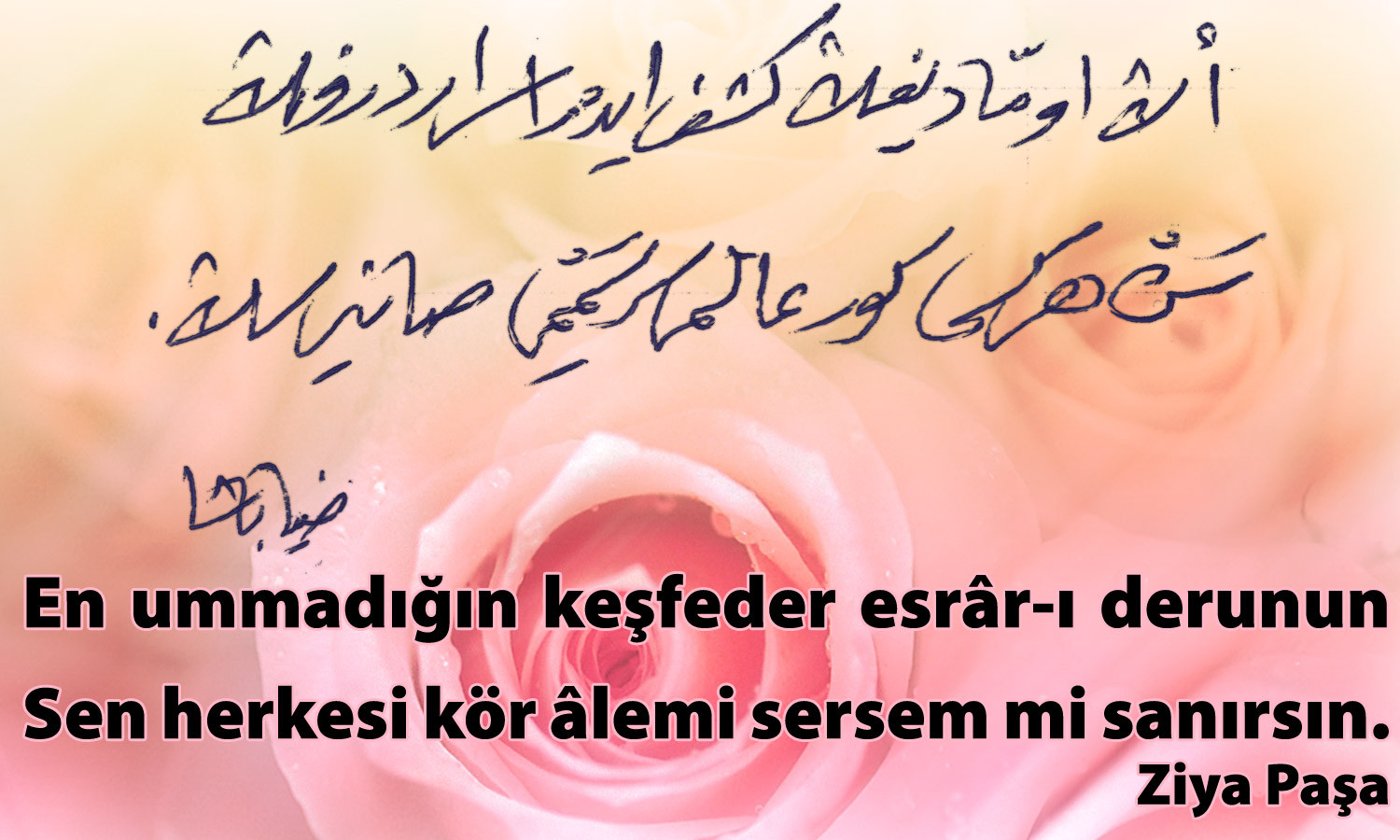 en-ummadigin-kesfeder