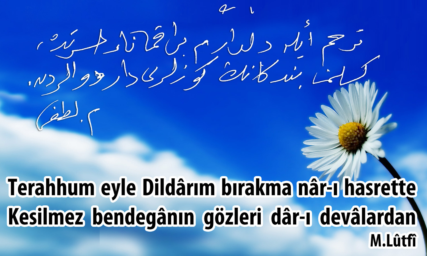 terahhum-eyle-dildarim