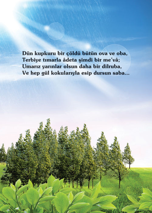 404arkakapak
