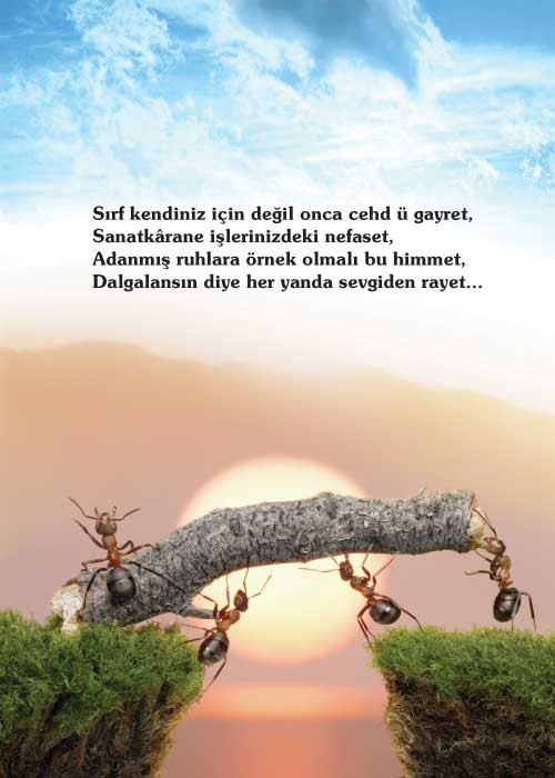 405arkakapak