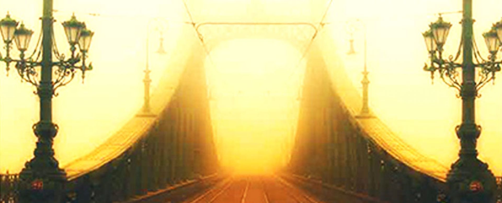 بُن بست جهالت