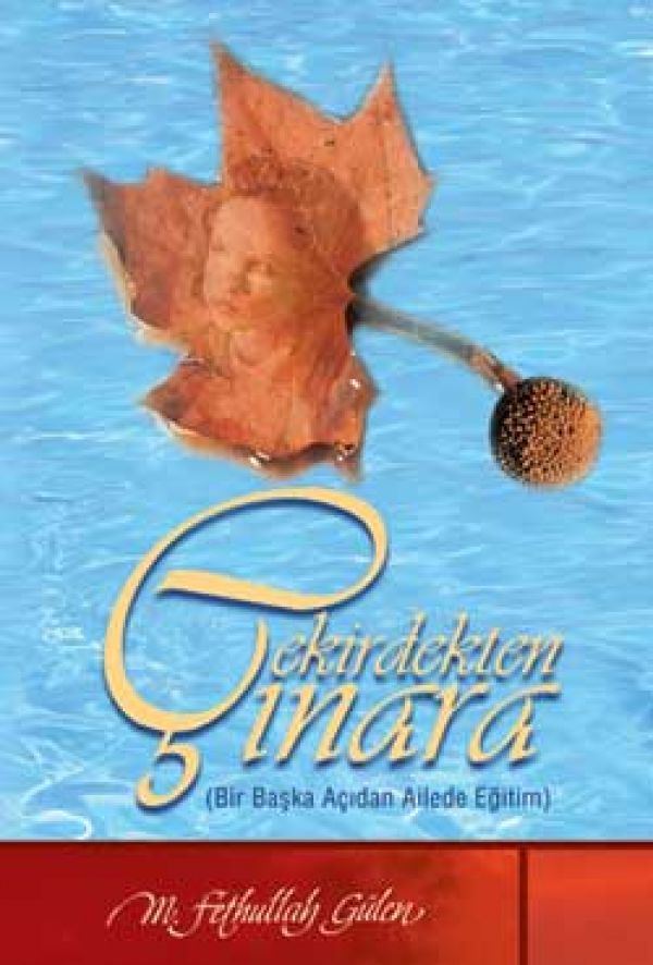 Çekirdekten Çınara