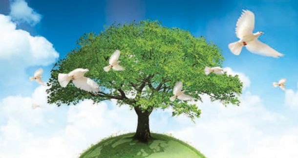 바르토로메오스 주교와의 만남