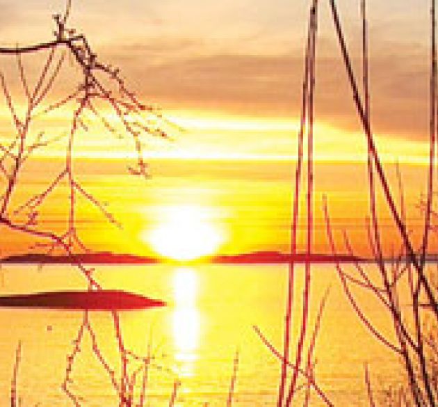 この世界の真の顔