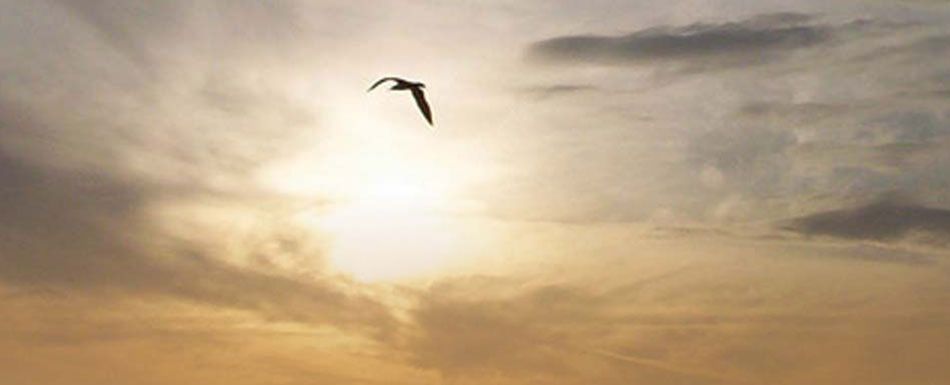 توحید ادیان (!)