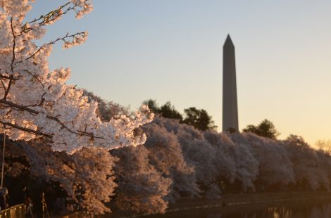 Fethullah Gülen'in Türkiye'deki ceza süreci ve ABD göçmenlik davası