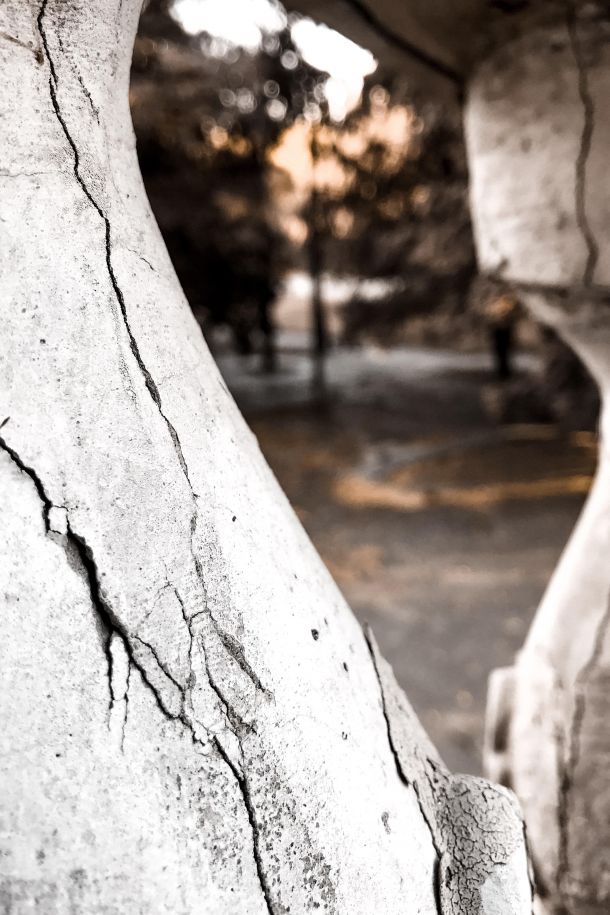 İki Çarpıtma Örneği