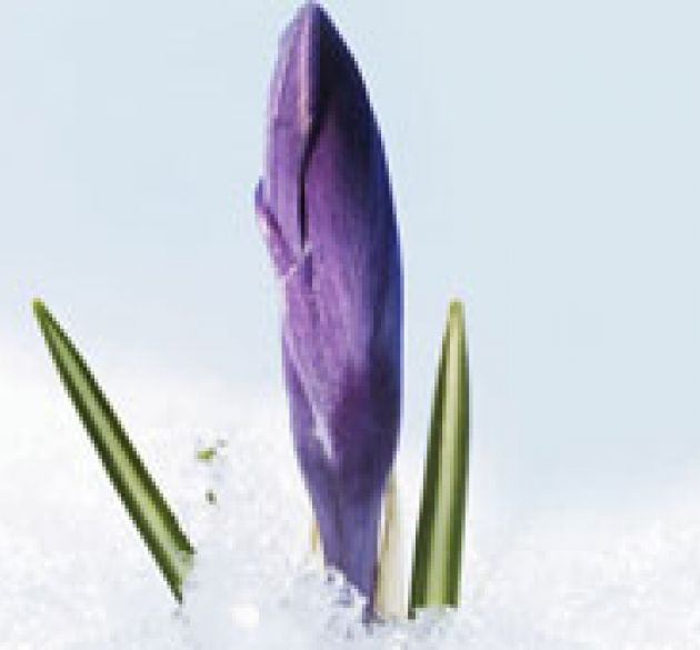 怒りではなく、支えあいを