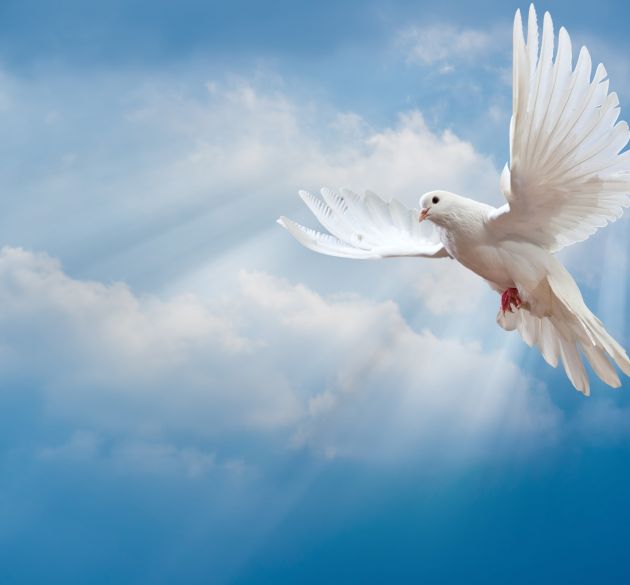 Да бъдеш герой в толерантността